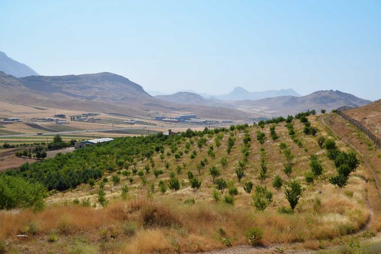 فضای سبز مجموعه کارخانجات شَکری