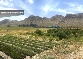 توسعه فضای سبز کارخانه‌جات گروه شُکری