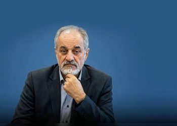 بهرام سبحانی در نشست انجمن تولیدکنندگان فولاد ایران درباره مقررات ارزی و صادرات فولاد